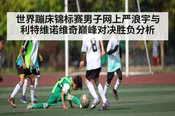 世界蹦床锦标赛男子网上严浪宇与利特维诺维奇巅峰对决胜负分析（kaiyun.com）
